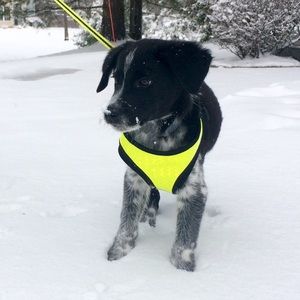 Meet your Posher, Mikayla